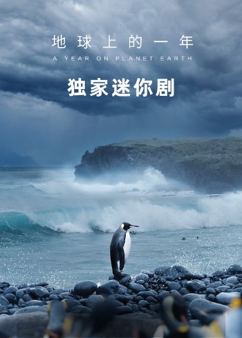 地球上的一年独家迷你剧}