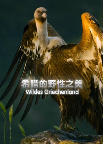 希腊的野性之美}