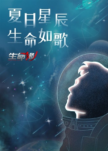 生命缘第十三季}