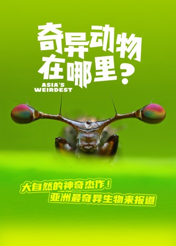 奇异动物在哪里？}