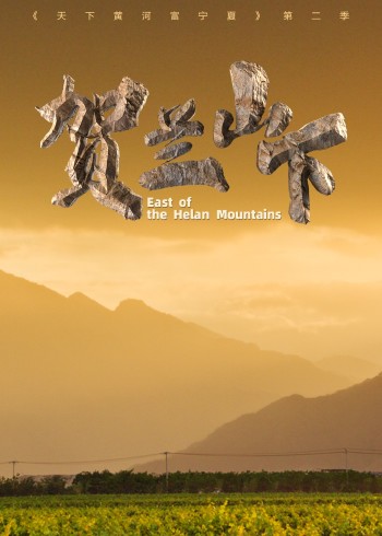 天下黄河富宁夏第二季贺兰山下}