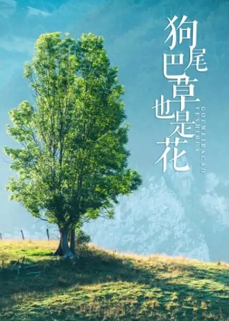 狗尾巴草也是花}