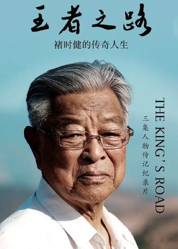 王者之路：褚时健的传奇人生}