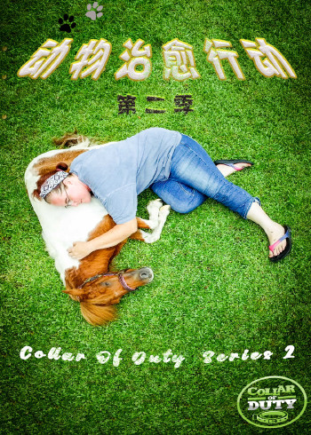 动物治愈行动第二季}