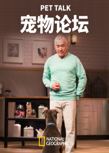 宠物论坛第一季}