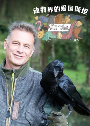 动物界的爱因斯坦}