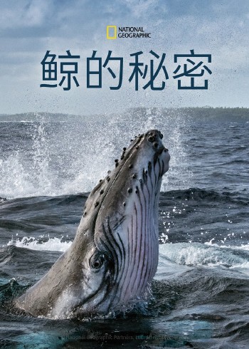 鲸的秘密第一季}