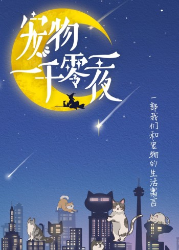 宠物一千零一夜}