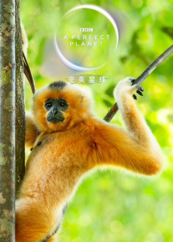 完美星球360VR版}