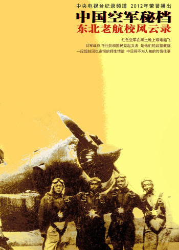 中国空军秘档}