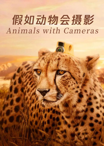 假如动物会摄影英语}