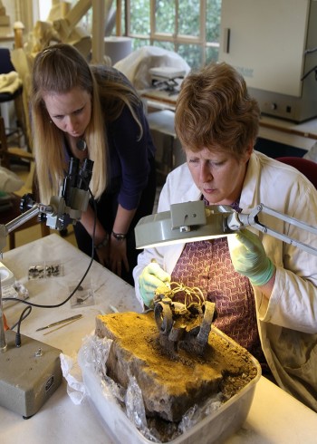 发掘不列颠第三季}