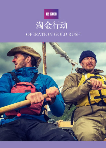 淘金行动}
