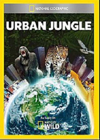 都市丛林生存法则}