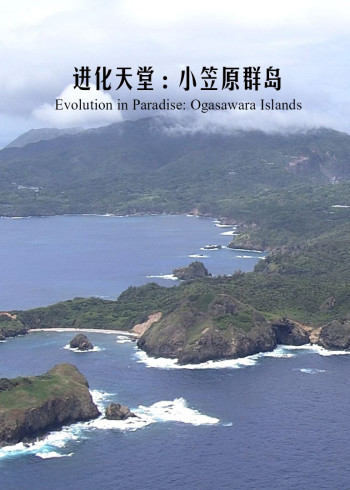 进化天堂：小笠原群岛}