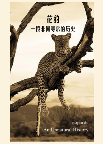 花豹：一段非同寻常的历史}
