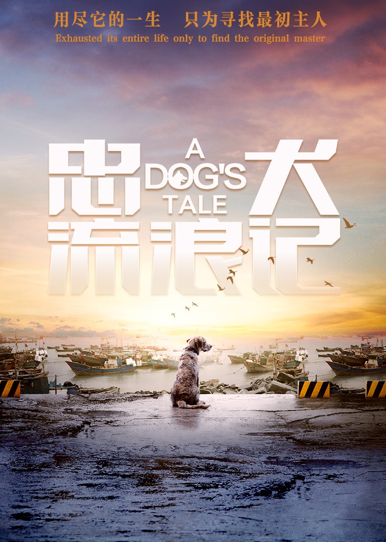 忠犬流浪记}