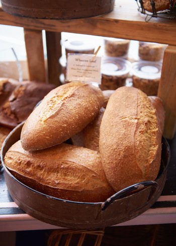 瑞秋的海岸烹饪第一季}