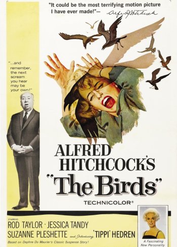 奇异真相大探秘}