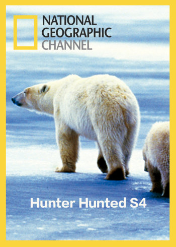 猎人猎物第四季}
