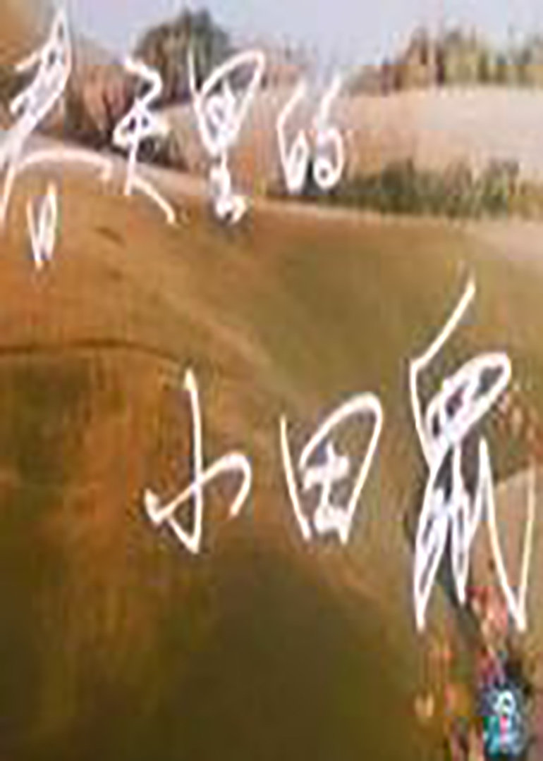 春天里的小田鼠}