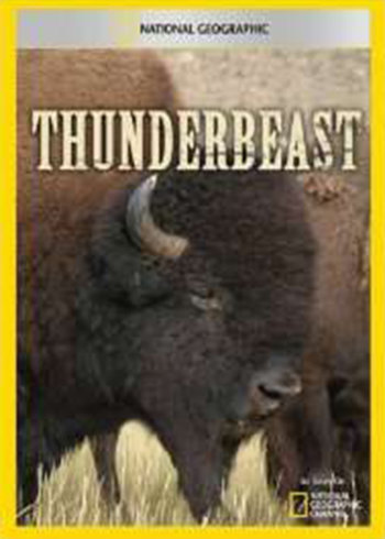 国家地理特别节目：美洲野牛求生录}