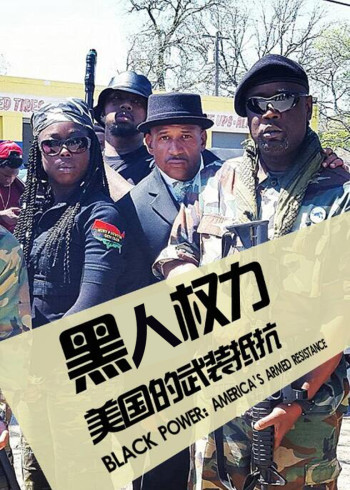 黑色权力：美国的武装抵抗}