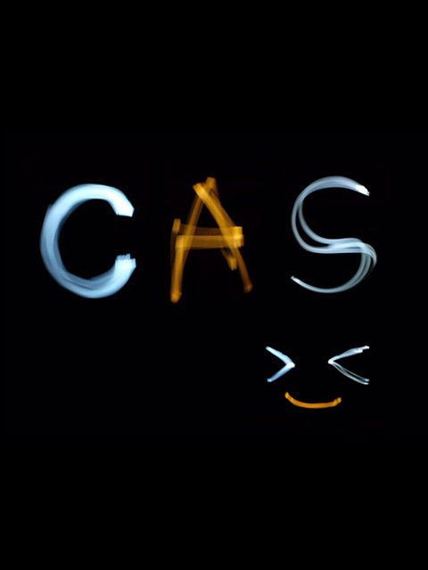 海岸线不污正业sp}