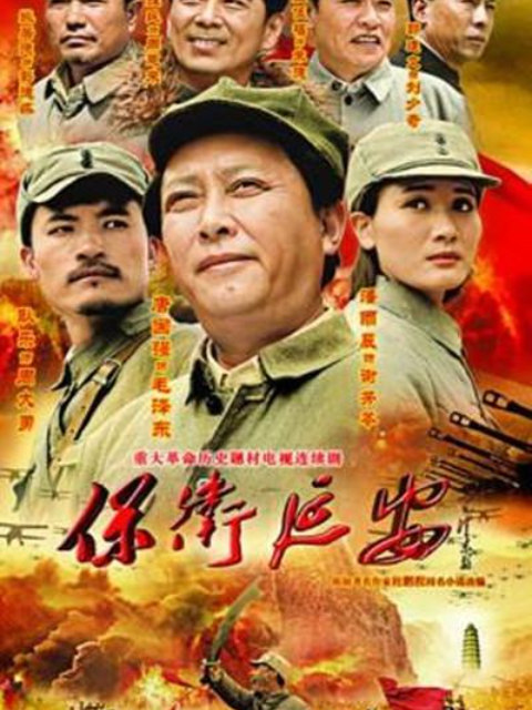 保卫延安}