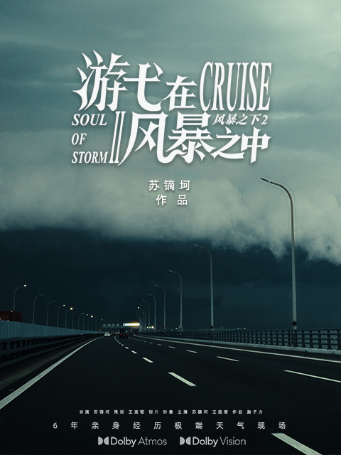 游弋在风暴之中}