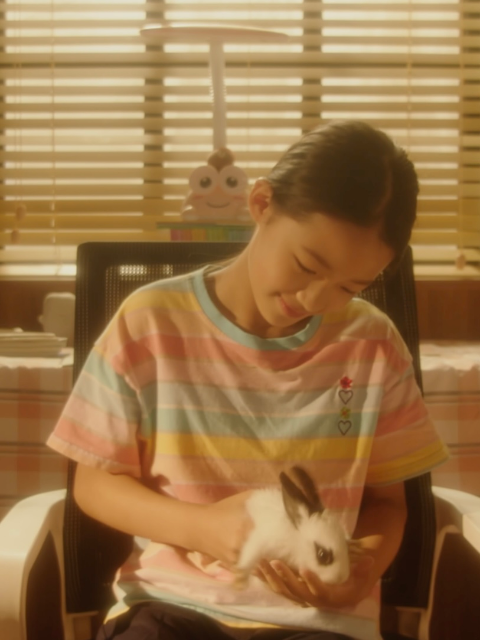 我家来了只兔子}