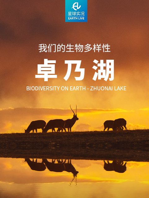 我们的生物多样性——卓乃湖}