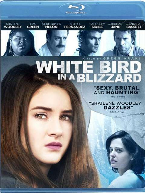 暴风雪中的白鸟}