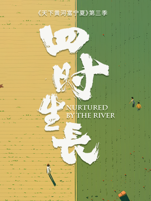 天下黄河富宁夏第三季}