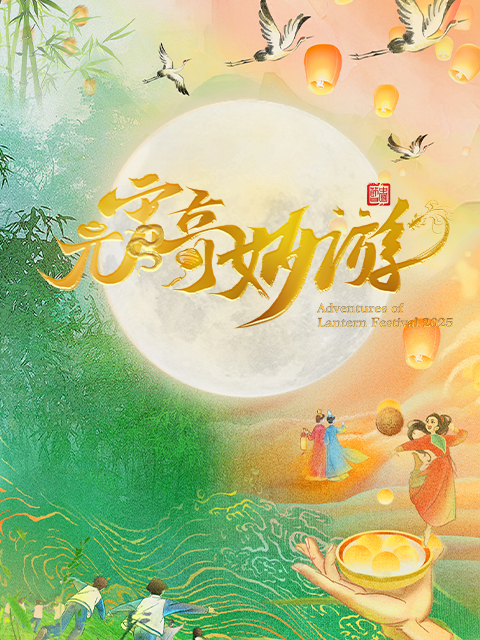 2025河南卫视元宵奇妙游}