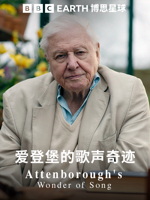 爱登堡的歌声奇迹}