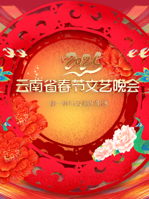 2025云南省春节文艺晚会}