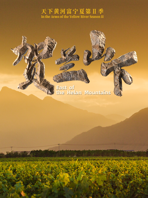 天下黄河富宁夏第二季}