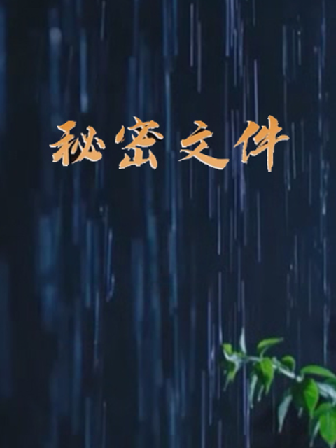秘密文件}