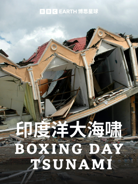 印度洋大海啸}