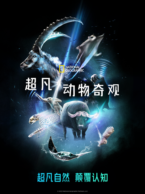 超凡动物奇观中配版}