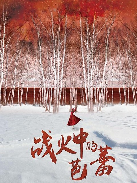战火中的芭蕾}