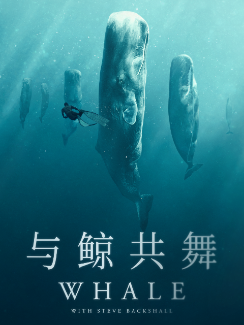 与鲸共舞}