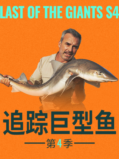 追踪巨型鱼第四季}
