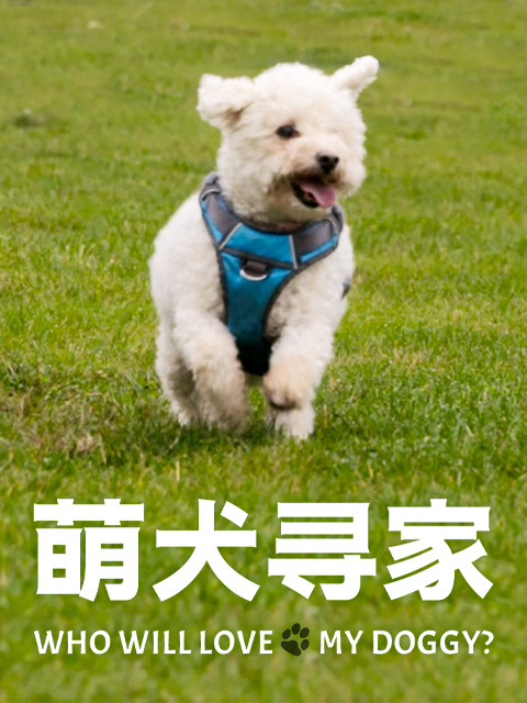 萌犬寻家}