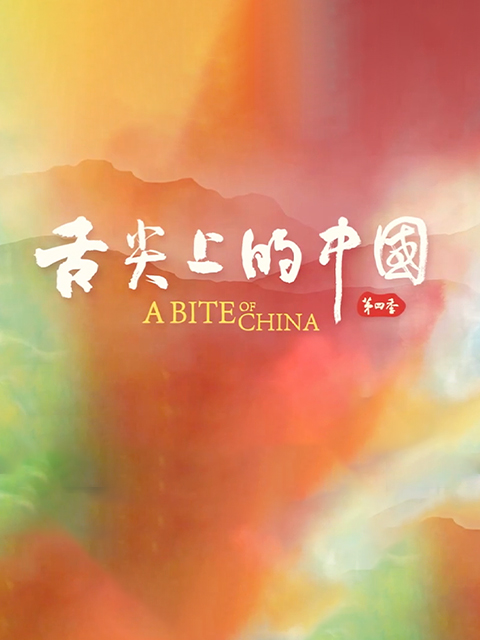 舌尖上的中国4}