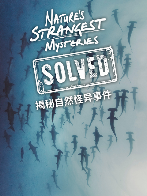 揭秘自然怪异事件}