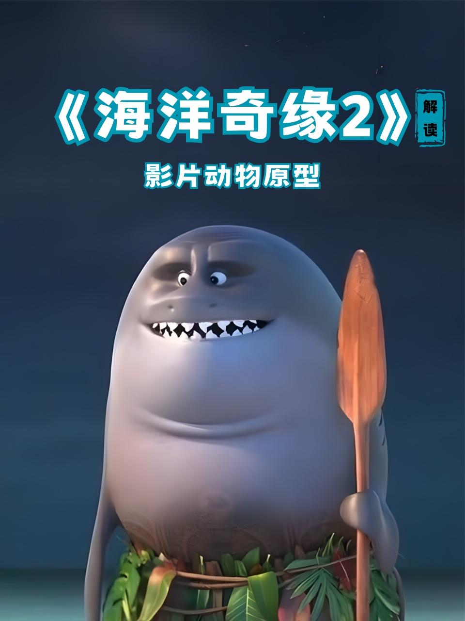 海洋奇缘2解读影片动物原型}