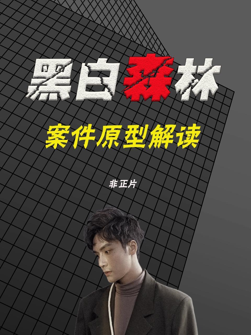 黑白森林案件原型解读非正片}