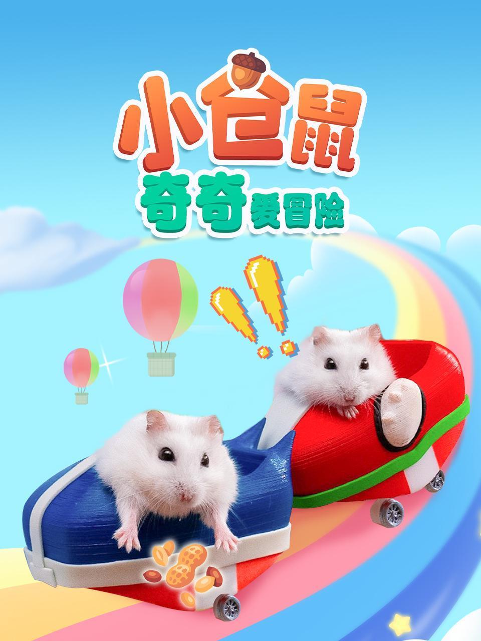 小仓鼠奇奇爱冒险}